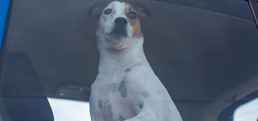 Car Lockout Solutions in Rolling Hills Estates, California